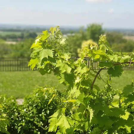 Villa 4 étoiles Avec Piscine Birac-sur-Trec